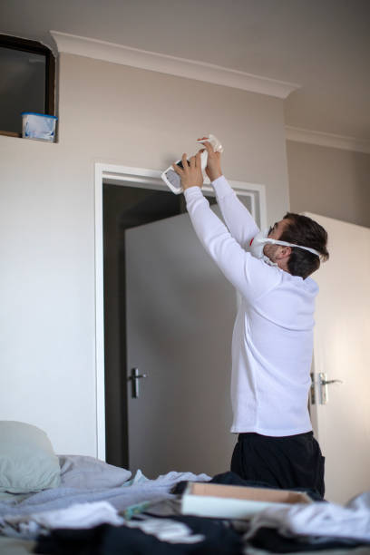 Best Mold Odor Removal Services  in Leesburg, OH