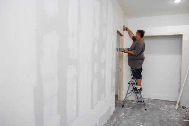 Best Basement Mold Removal  in Leesburg, OH