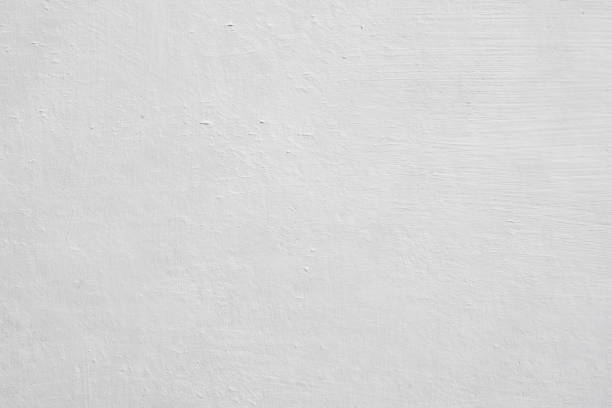 Best Commercial Mold Inspection  in Leesburg, OH