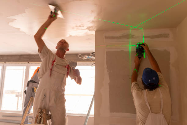 Best Post-Construction Mold Inspection  in Leesburg, OH